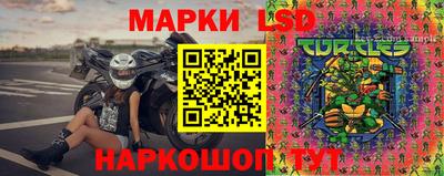 крисы Абакан