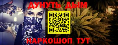 крисы Абакан