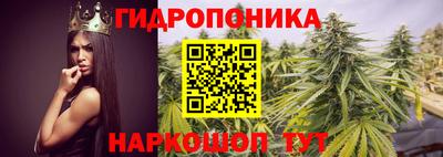 крисы Абакан