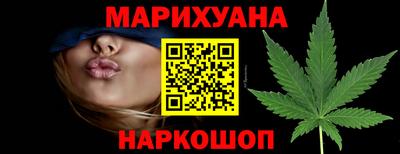 крисы Абакан