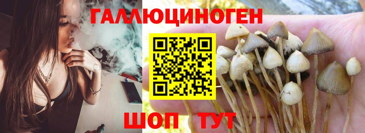 Псилоцибиновые грибы Cubensis Алушта